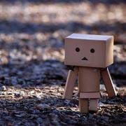 am22153的个人资料头像