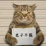 闲落一子头像