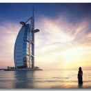 蛋炒番茄的个人资料头像