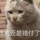 用户9539923468734头像