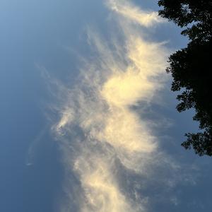 hey我是七宝头像