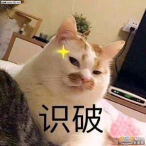 狗仗猫势头像