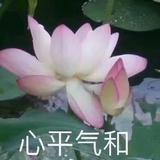 元气宇宙9p1头像