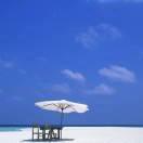 shuofang的个人资料头像