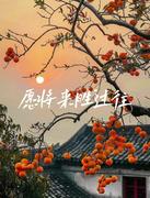 浮笙若有梦的个人资料头像