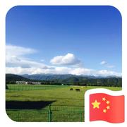 用户1109787522506的个人资料头像