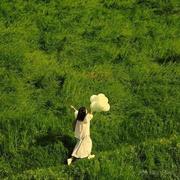 豌豆哇哈哈的个人资料头像