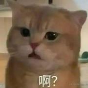 程序员的尽头是炒粉的个人资料头像