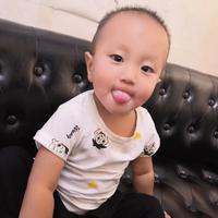 A奔跑的路虎头像