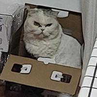 积极的生活家zN头像