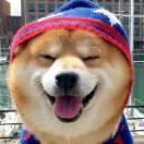 爱学习的个人资料头像