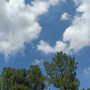 遗忘不了的历史头像