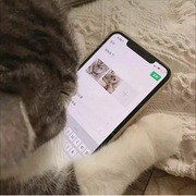 楠木可依的个人资料头像