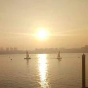 imcoder的个人资料头像