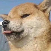 小王小王啊的个人资料头像