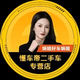 懂车帝娟姐好车头像