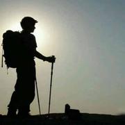 先有鸡先有蛋的个人资料头像