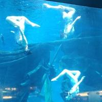 梦幻天空28610950头像