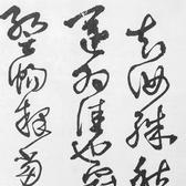 龙七一弟头像