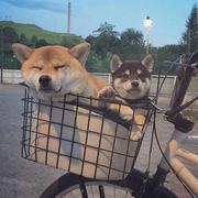 用户6859033855047的个人资料头像