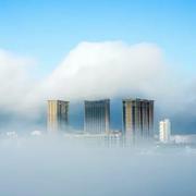 练习795的个人资料头像