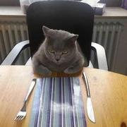 子phone的个人资料头像