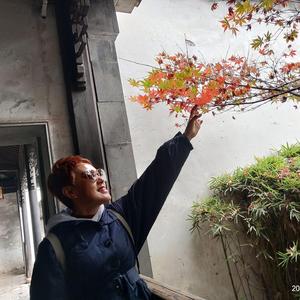 自由凌菲头像