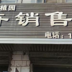 书胜花卉头像