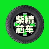 紫精芯车头像