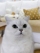 三秋Sanqiu的个人资料头像