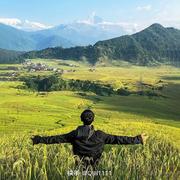 MiaJia的个人资料头像