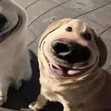 ๑0๑407头像
