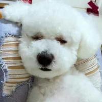 白天数星星313头像