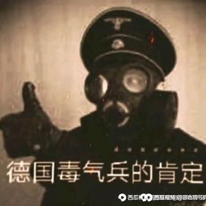 曾经的德国上面都有毒气兵的肯定了头像