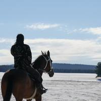 苏杭苏东坡头像