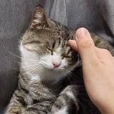 Pumiko0522头像