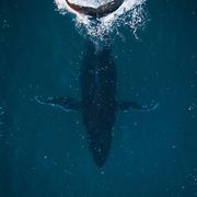 用户1116736761373的个人资料头像