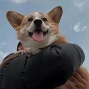 顾饶Leslie的个人资料头像