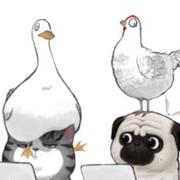 柒情的个人资料头像