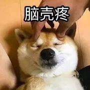 别开枪抓活的的个人资料头像