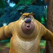 zhengBin的个人资料头像