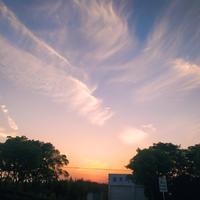 我的事情我自已做主头像