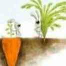 不停走路鸟的个人资料头像