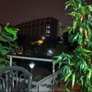 田园拓海的大狗头像