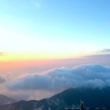 大头虾胖塔头像