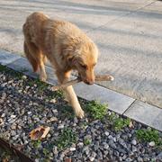 Theo_的个人资料头像