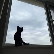 ATCB的个人资料头像