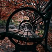 Sterblich的个人资料头像