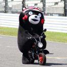 XD東仔的个人资料头像