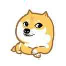 Me1onRindZ的个人资料头像